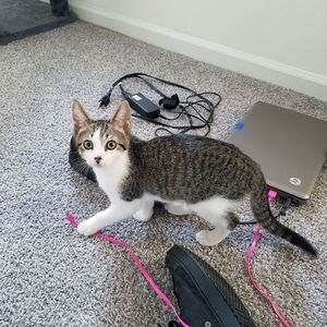 Meet your Posher, Marcia